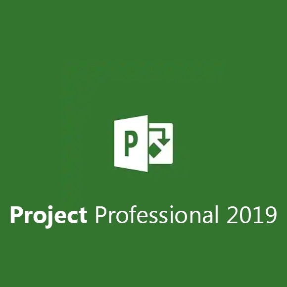 Microsoft Project Professional 2019