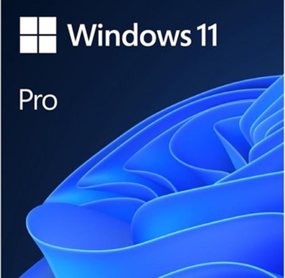 Picture of Windows 11 Pro